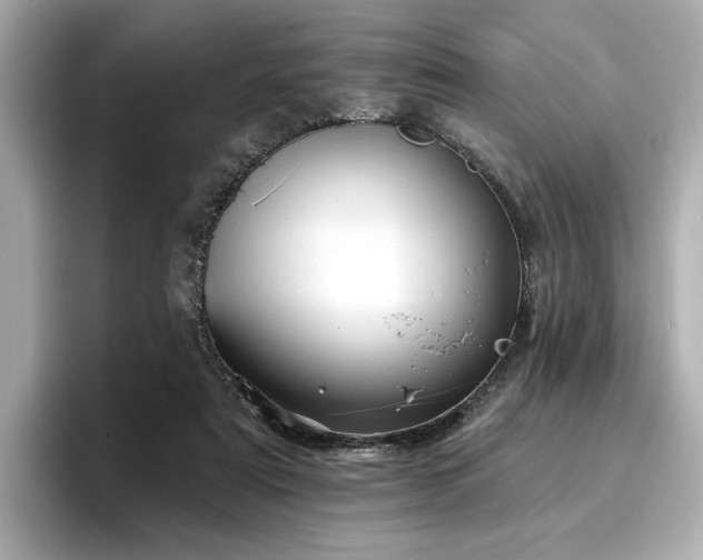 X0000096720307200802051448