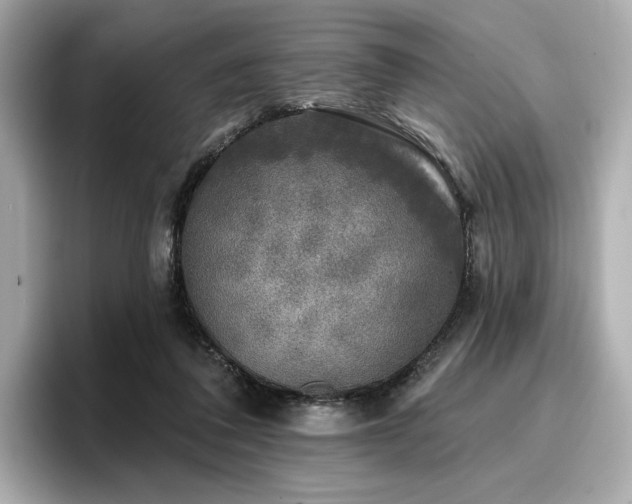 X0000096720308200802051448