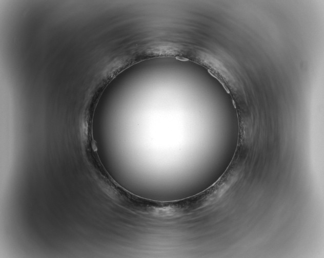 X0000096720309200802051448