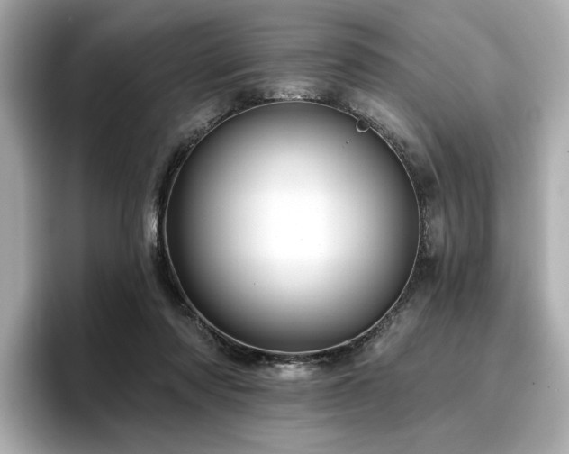 X0000096720310200802051448