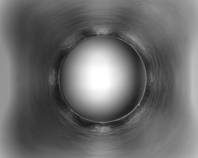 X0000096720311200802051448