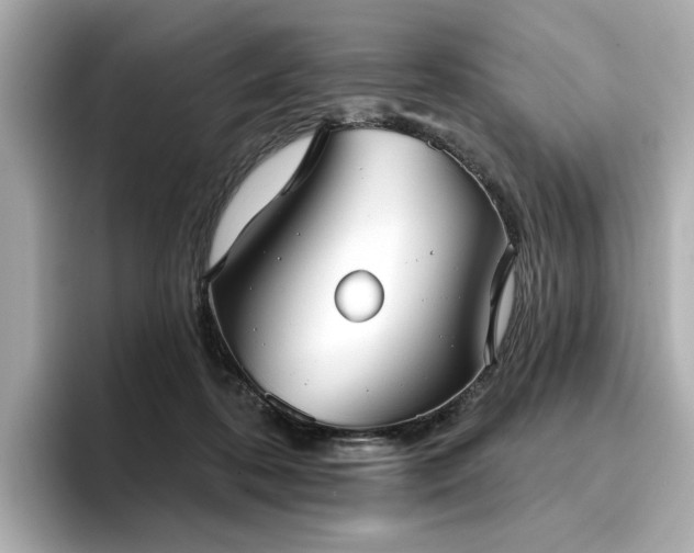 X0000096720316200802051448