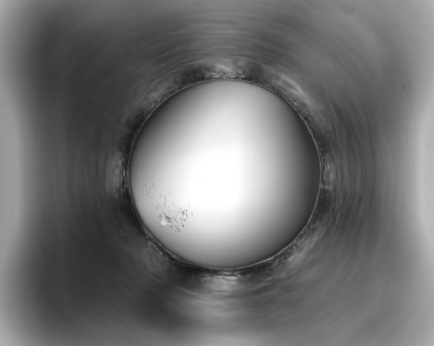 X0000096720318200802051448