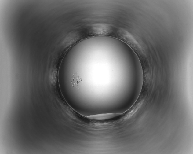 X0000096720325200802051448