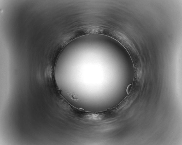 X0000096720326200802051448
