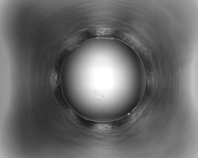 X0000096720327200802051448