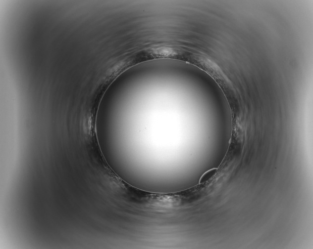 X0000096720330200802051448