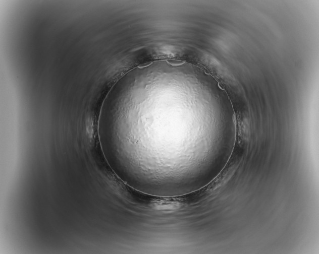 X0000096720331200802051448