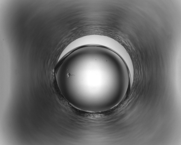 X0000096720332200802051448