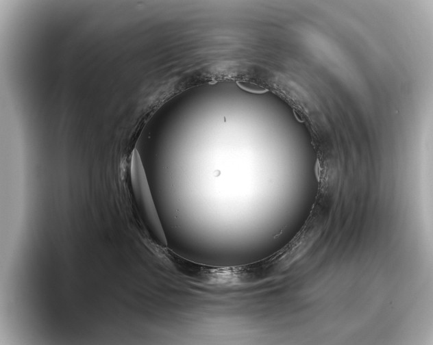 X0000096720335200802051448