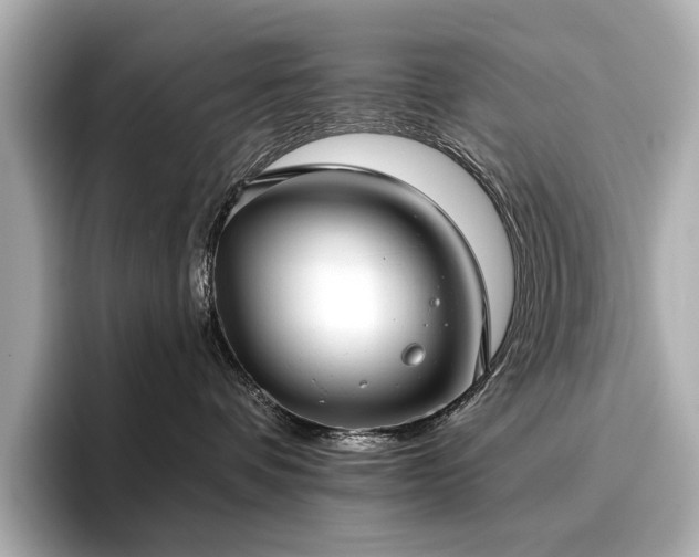 X0000096720336200802051448