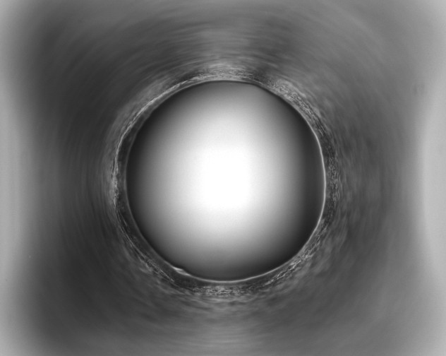 X0000096720338200802051447