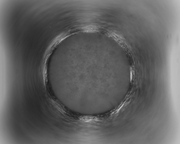 X0000096720339200802051447