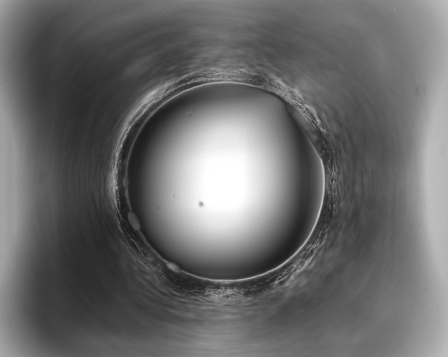 X0000096720340200802051447