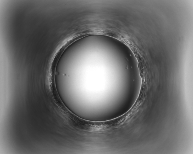X0000096720342200802051447