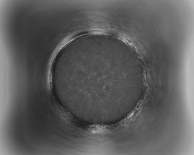 X0000096720343200802051447