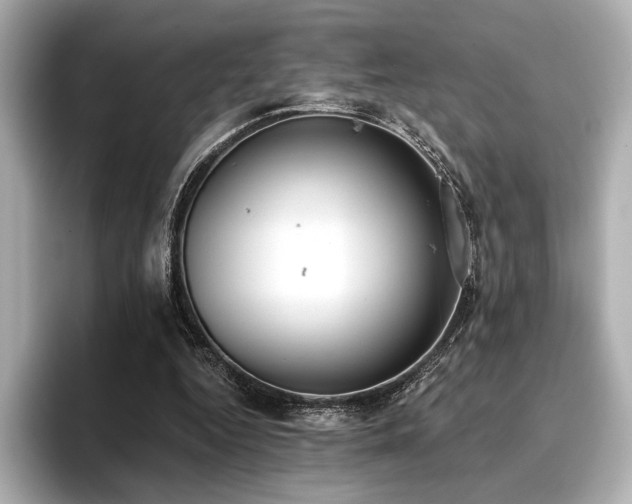 X0000096720344200802051447