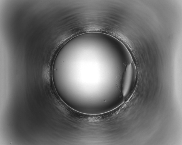 X0000096720345200802051447
