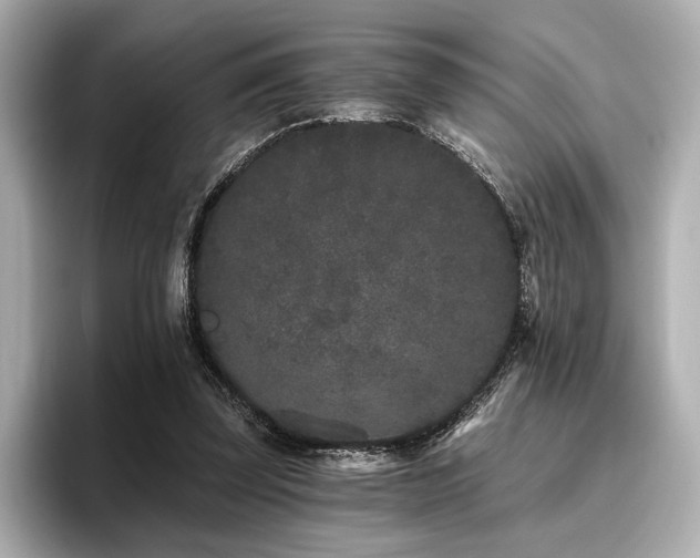 X0000096720347200802051447
