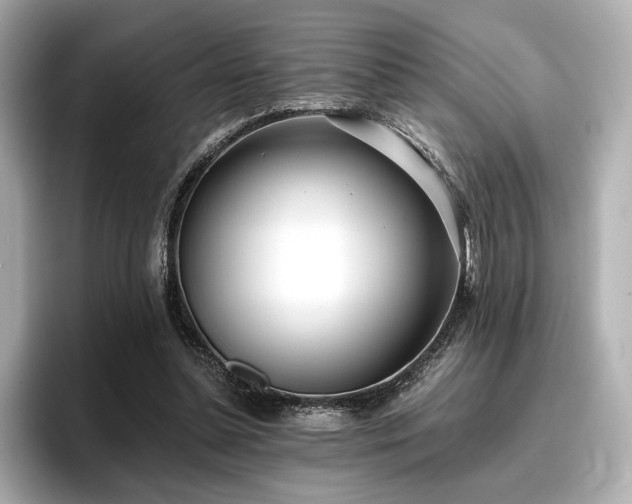 X0000096720348200802051447