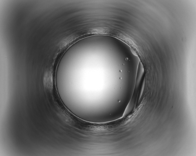 X0000096720349200802051447