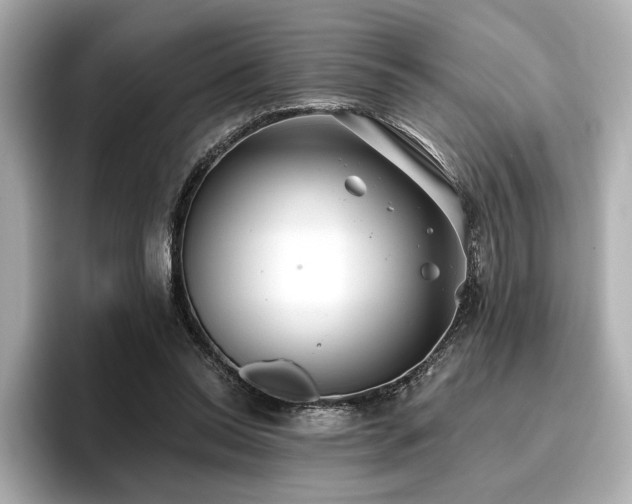 X0000096720350200802051447