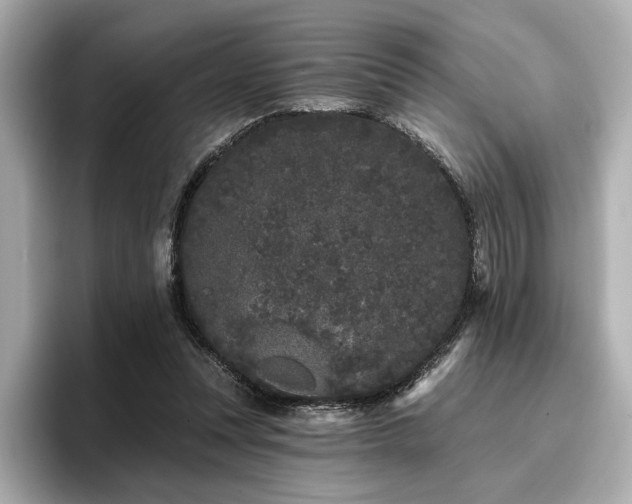 X0000096720351200802051447