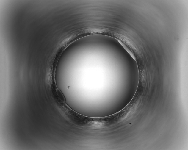 X0000096720352200802051447