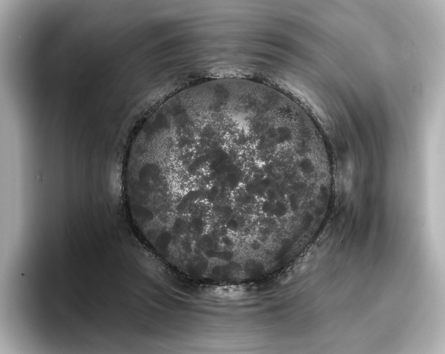 X0000096720353200802051447