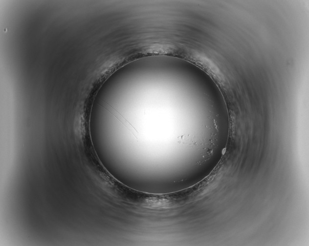 X0000096720354200802051447