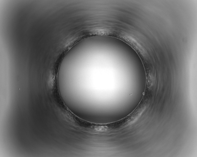 X0000096720355200802051447