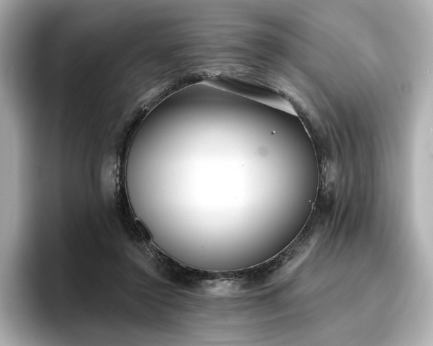 X0000096720356200802051447