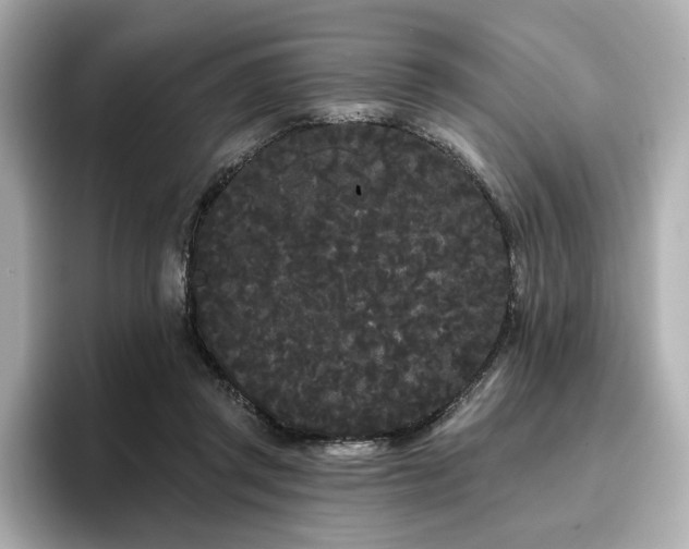 X0000096720357200802051447