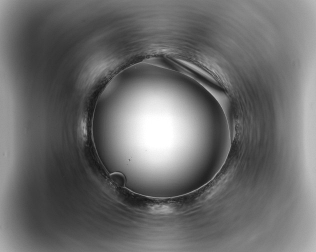 X0000096720358200802051447