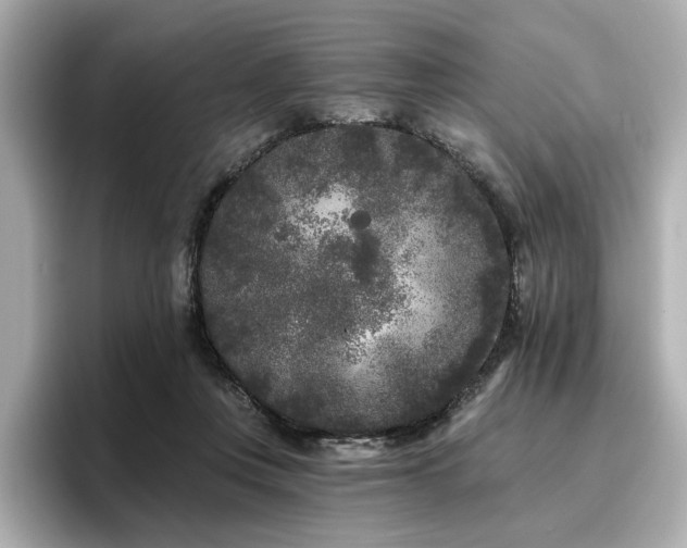 X0000096720359200802051447