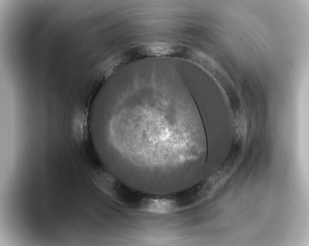 X0000096720360200802051447