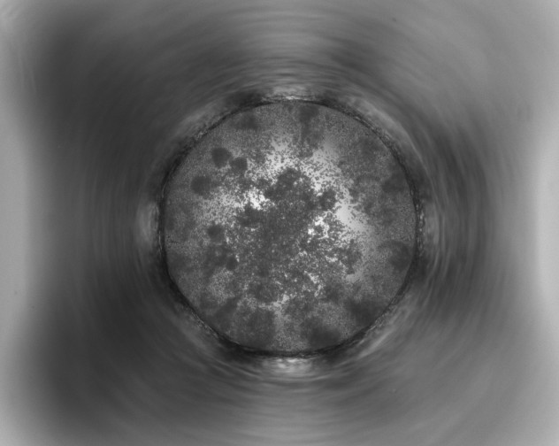 X0000096720361200802051447