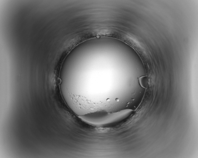 X0000096720362200802051447