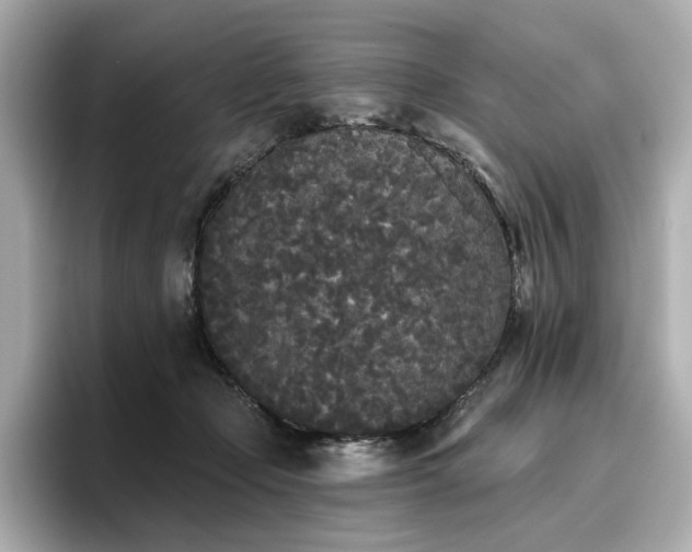X0000096720365200802051447