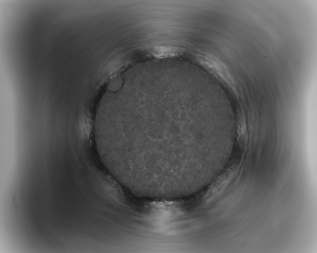 X0000096720367200802051447