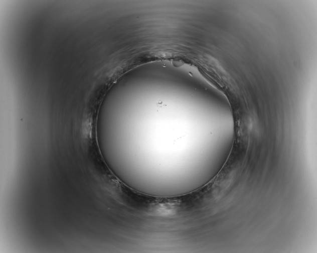 X0000096720368200802051447