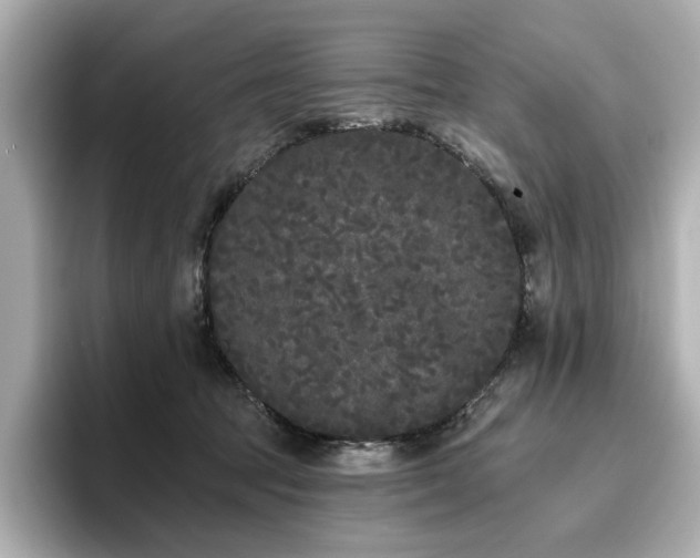 X0000096720369200802051447