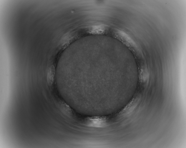 X0000096720370200802051447