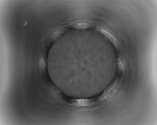 X0000096720371200802051447