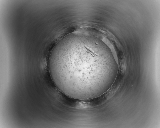 X0000096720372200802051447