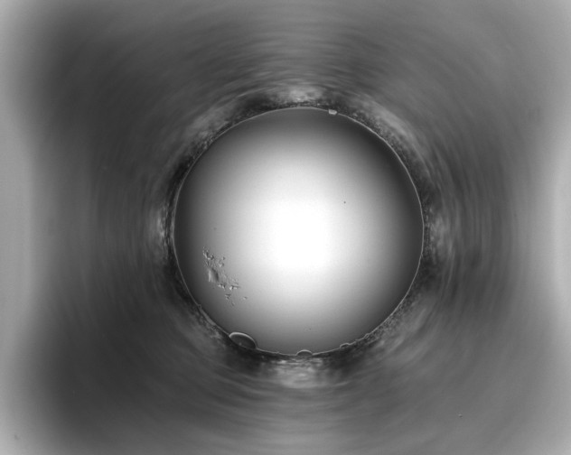 X0000096720373200802051447