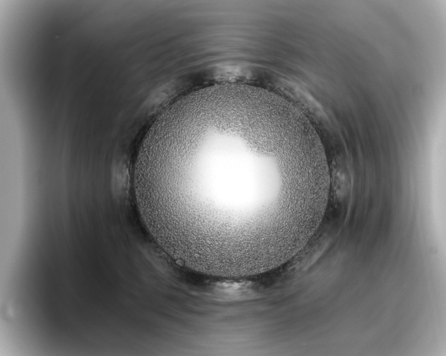 X0000096720375200802051448