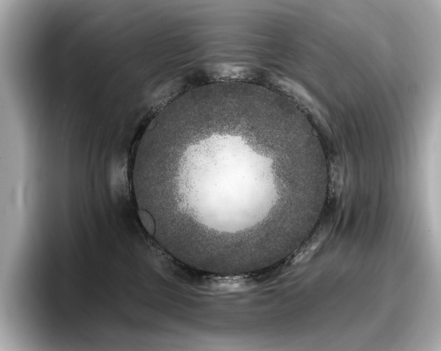 X0000096720377200802051448