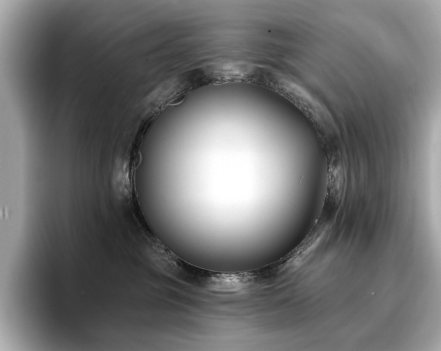 X0000096720381200802051448