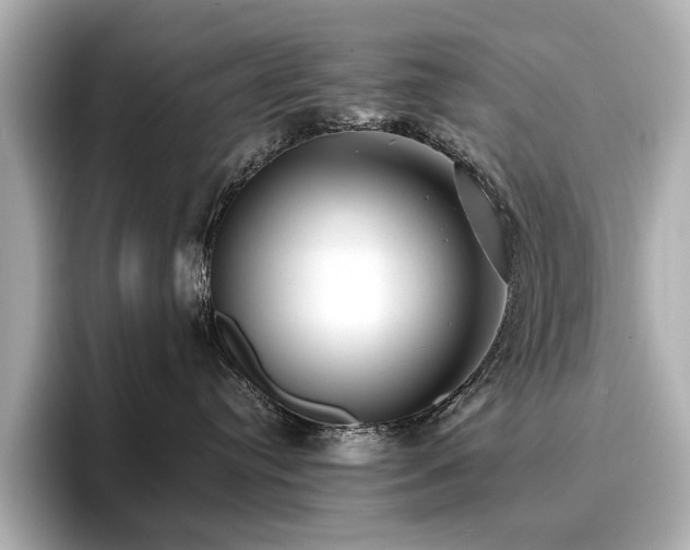 X0000096720384200802051448